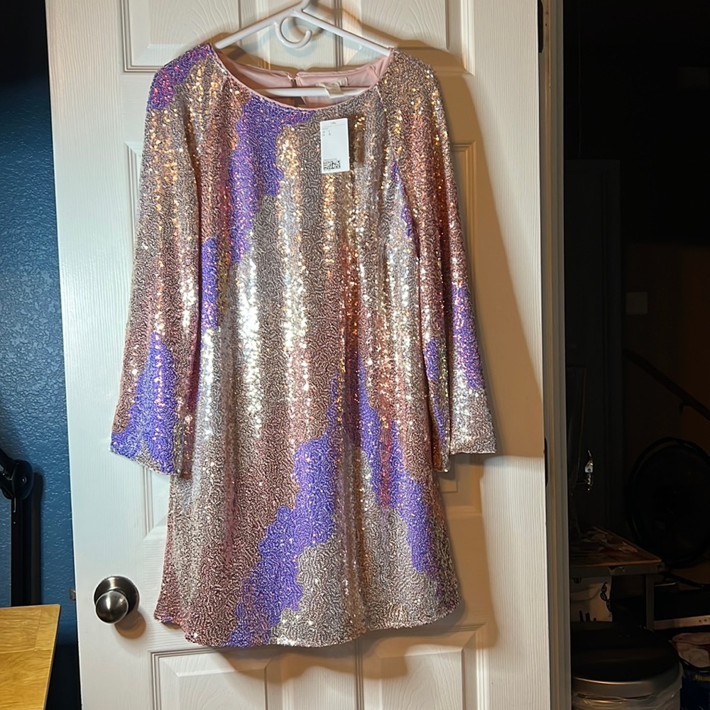 Brand new H & M Sequin dress. Size Large. Just above knee length.